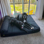 Giant Orthopedic Dog Bed product image 14