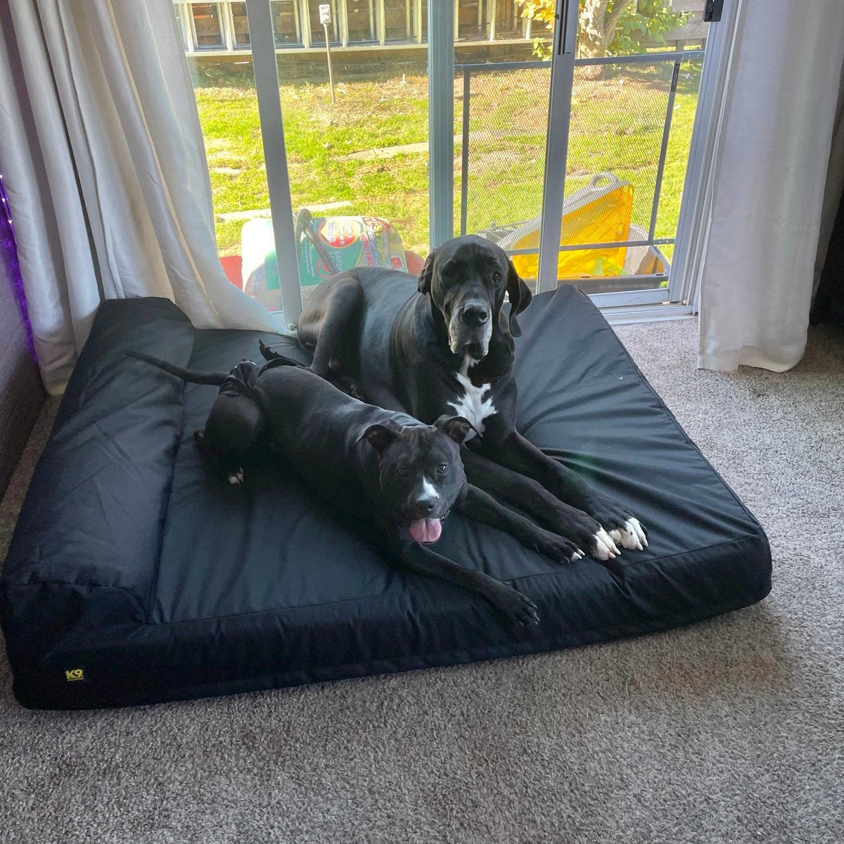 Giant Orthopedic Dog Bed product image 14