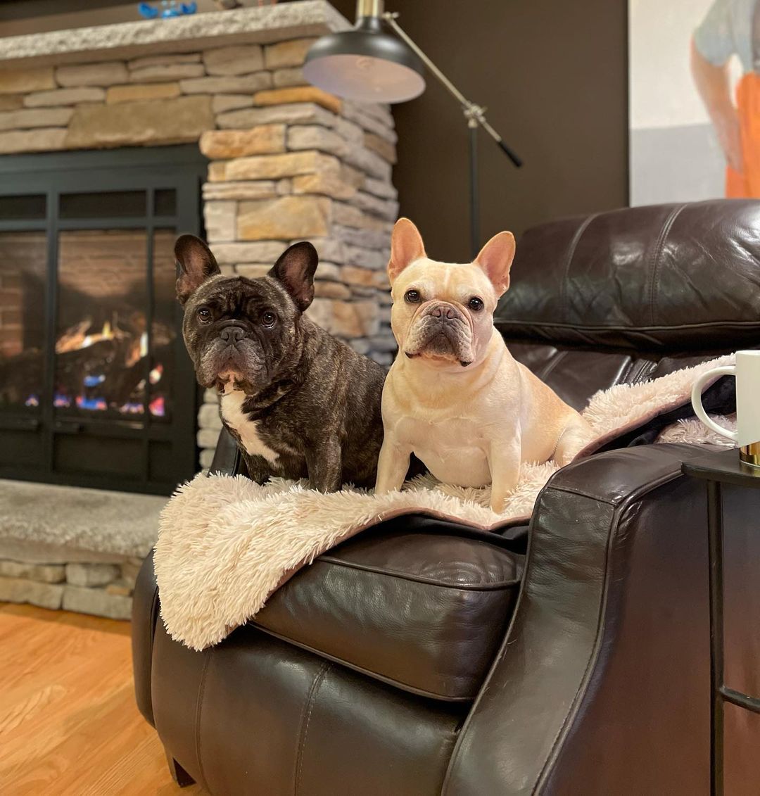 Waterproof Faux Fur Pet Throw Blanket product image 2