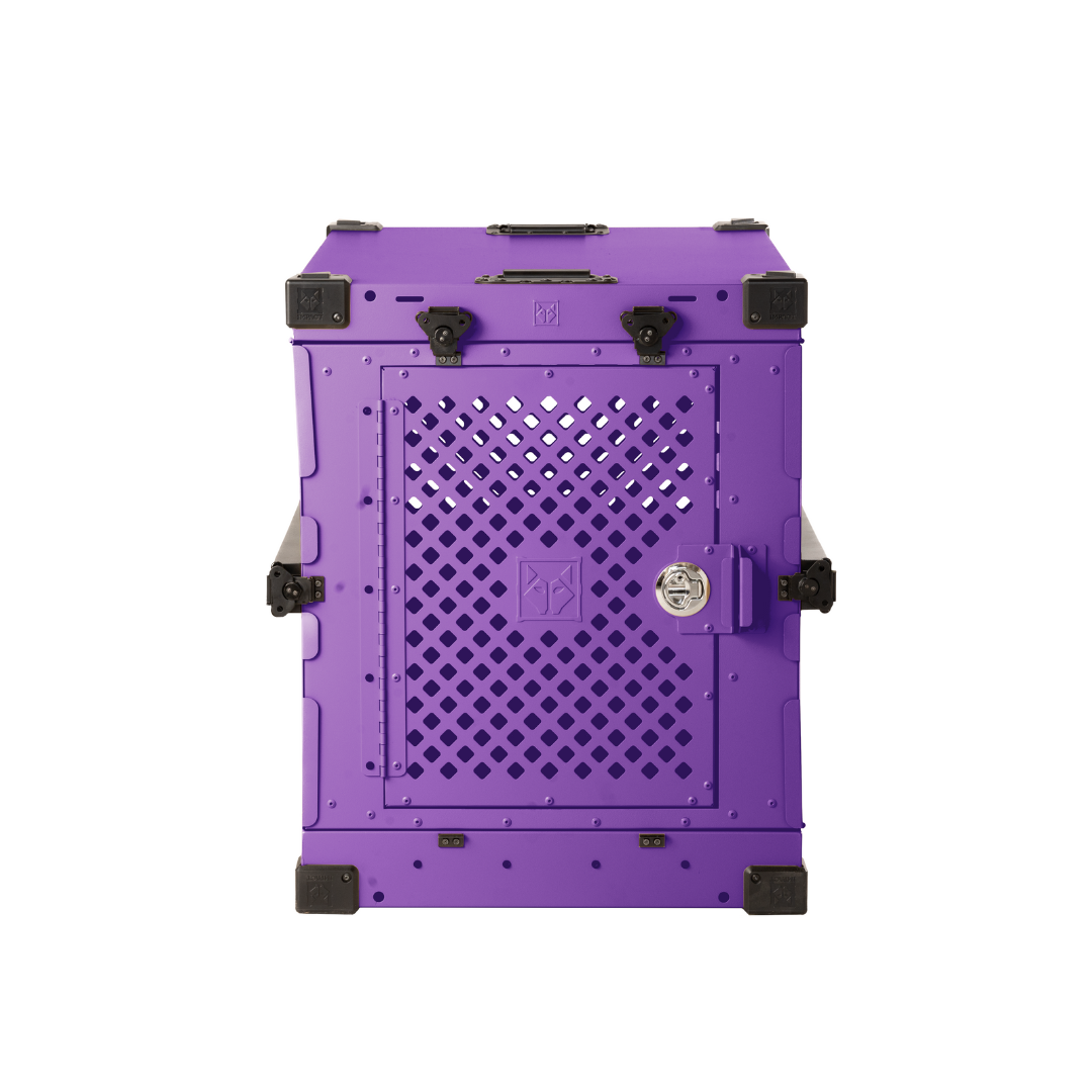 #color_purple