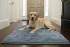 Grey Absorbent Dog Door Mat product image 1
