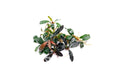 Live Freshwater Aquarium Plant product image 1