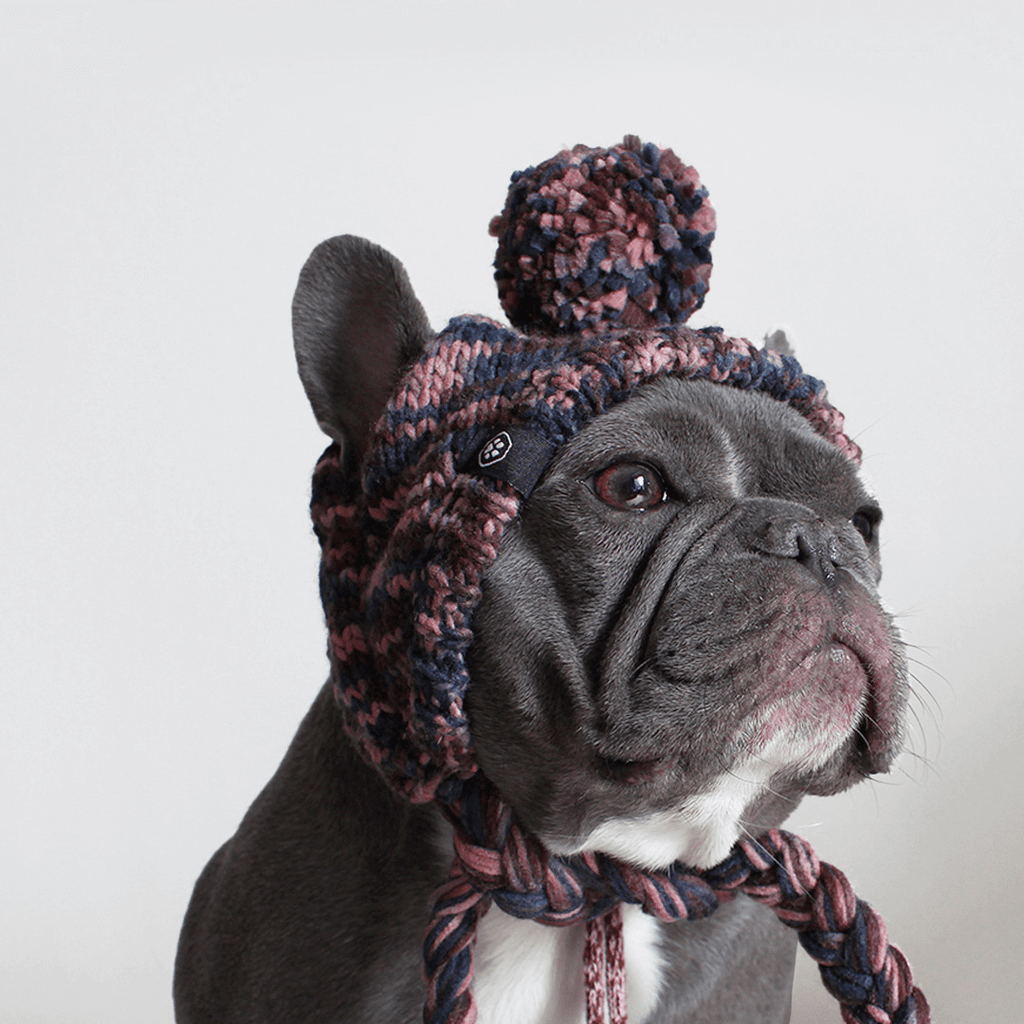 Knit Pom-Pom Dog Beanie product image 11