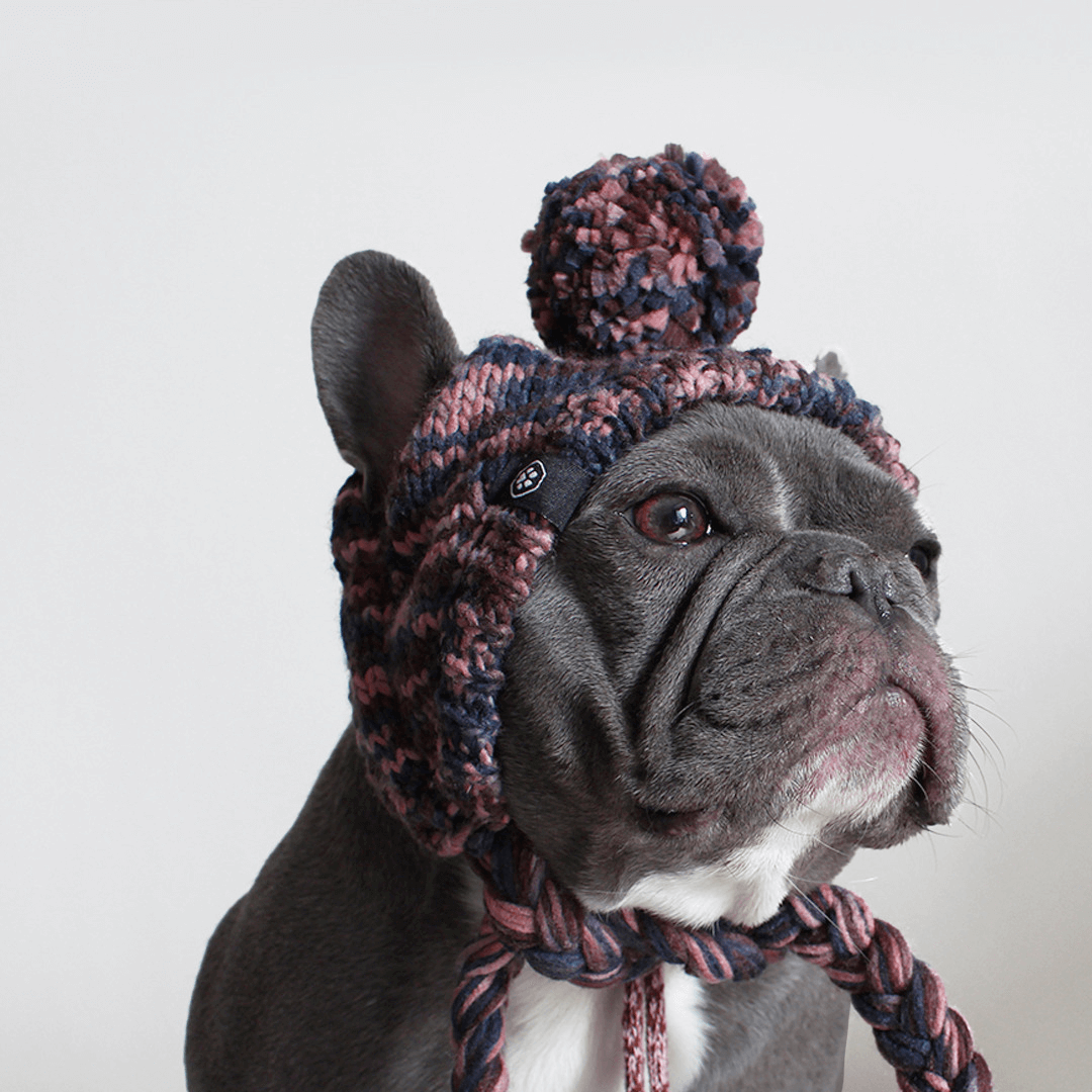 Knit Pom-Pom Dog Beanie product image 11