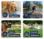 Pet Probiotic Powder product image 4