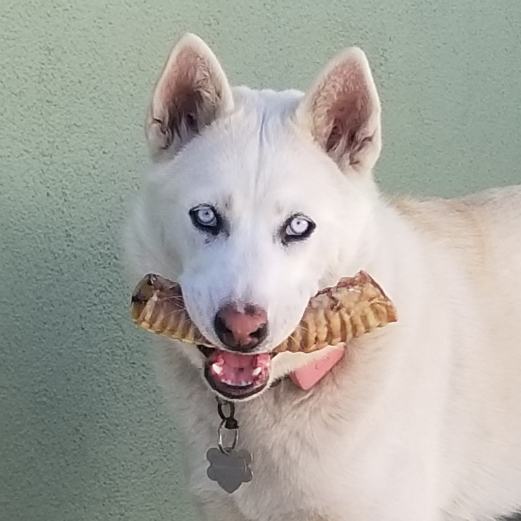 Beef Trachea Chews product image 4