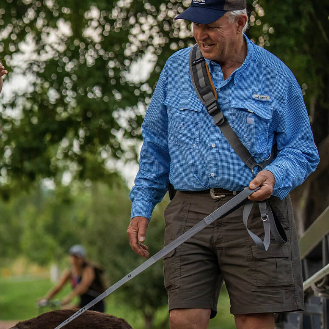 Hands-Free Sling Dog Leash System product image 5