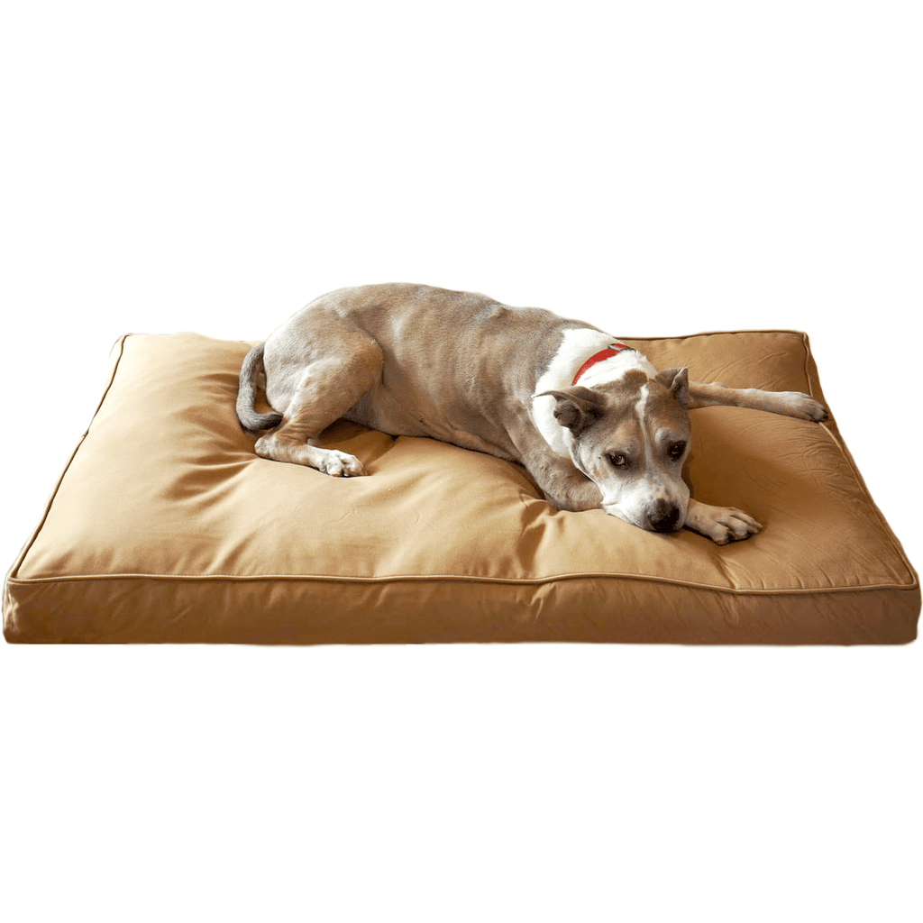 Chew Resistant Dog Bed With 200 Day Guarantee Bully Bed bullybeds.com Medium $129.99 - 34"x22"x4" Tan