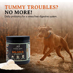 Dog Probiotic product image 3
