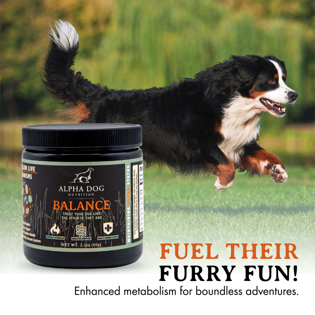 Dog Probiotic product image 5