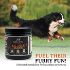 Dog Probiotic product image 5