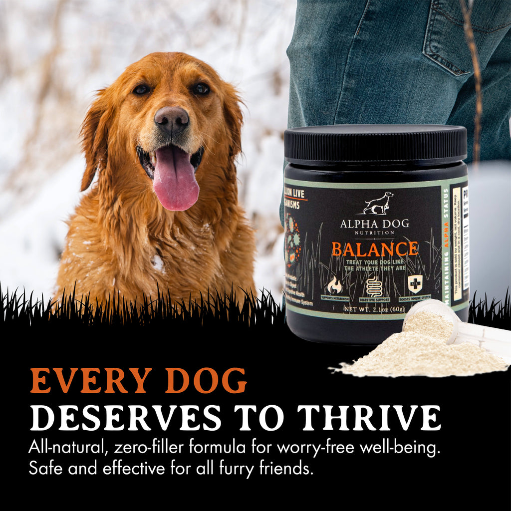 Dog Probiotic product image 6