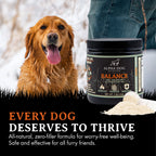 Dog Probiotic product image 6