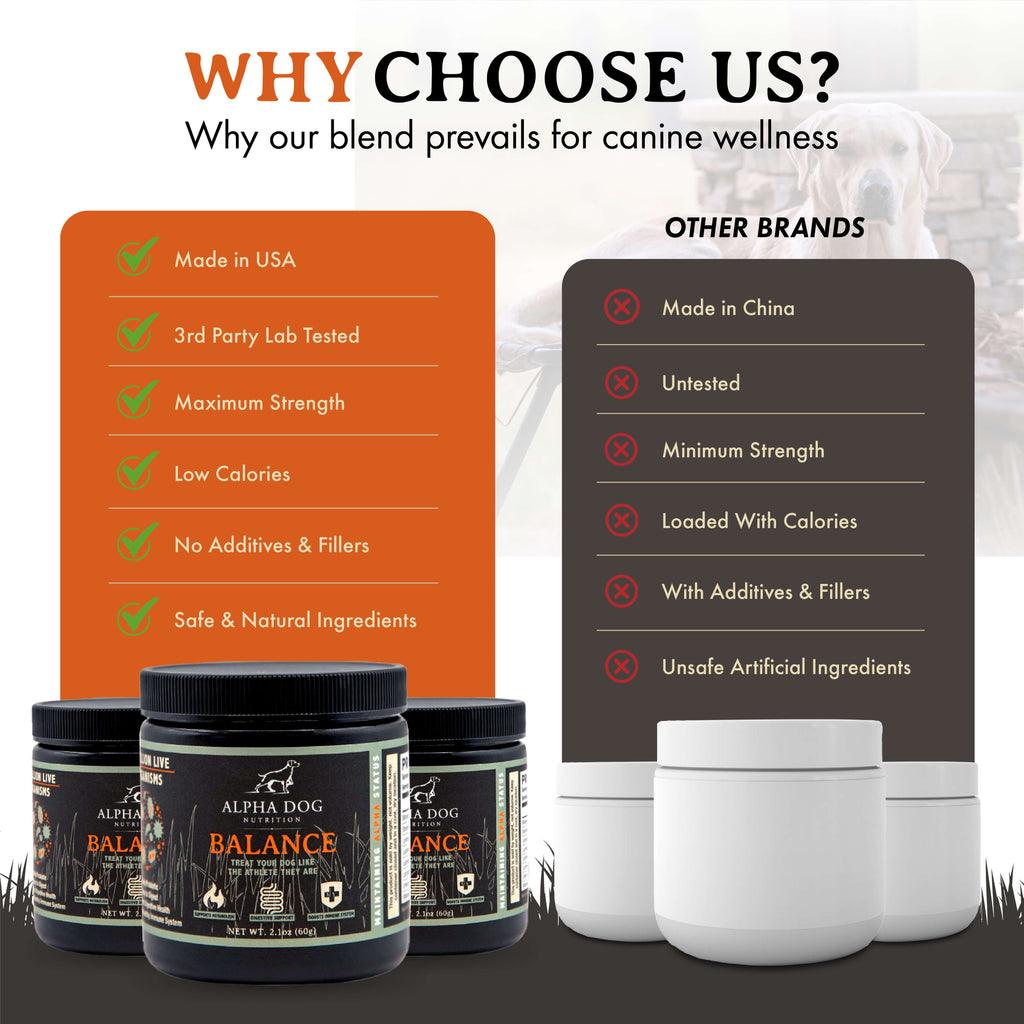 Dog Probiotic product image 8