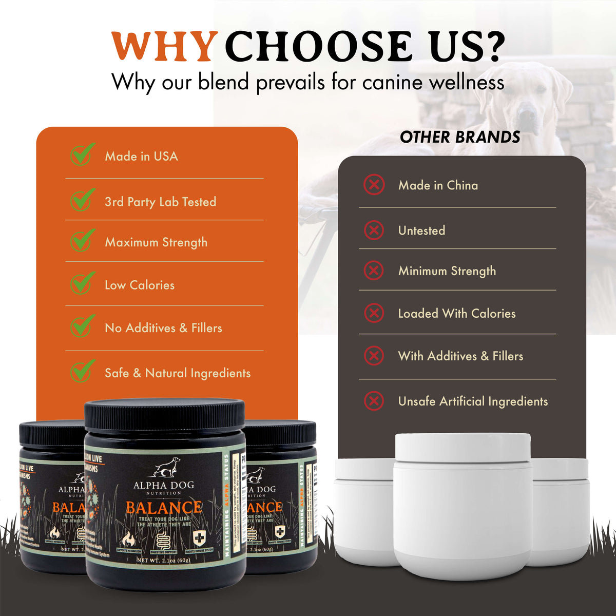 Dog Probiotic product image 8