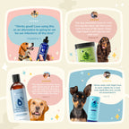 Dog Care Bundle product image 9