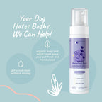 Senior Pet Care Bundle product image 6