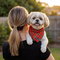 Dog Bandana product image 1