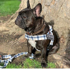 Dog Harness product image 5