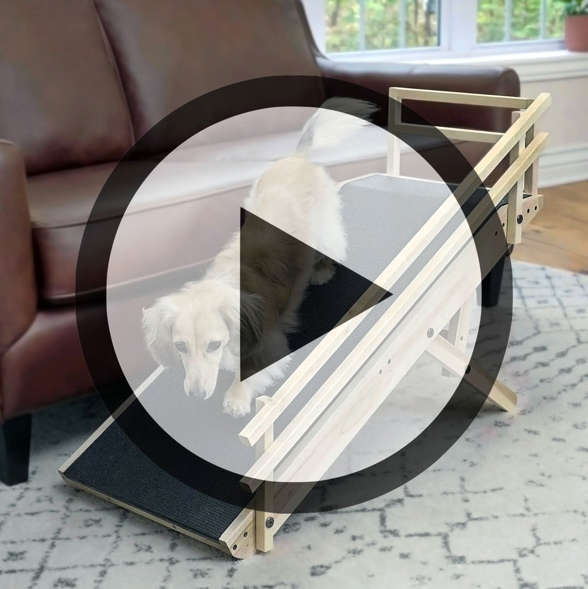 <iframe 
    src="https://player.vimeo.com/video/1066402915?autoplay=1&controls=1&background=0&dnt=1&byline=0&title=0&portrait=0&pip=0" 
    width="1080" 
    height="1080" 
    frameborder="0" 
    allow="autoplay; fullscreen; encrypted-media" 
    title="DoggoRamps Dog Ramp for Couch with Side Rails"
    class="product_gallery">
</iframe>
<script src="https://player.vimeo.com/api/player.js"></script>