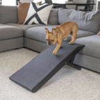Foldable Non Slip Dog Ramp for Couch product image 12