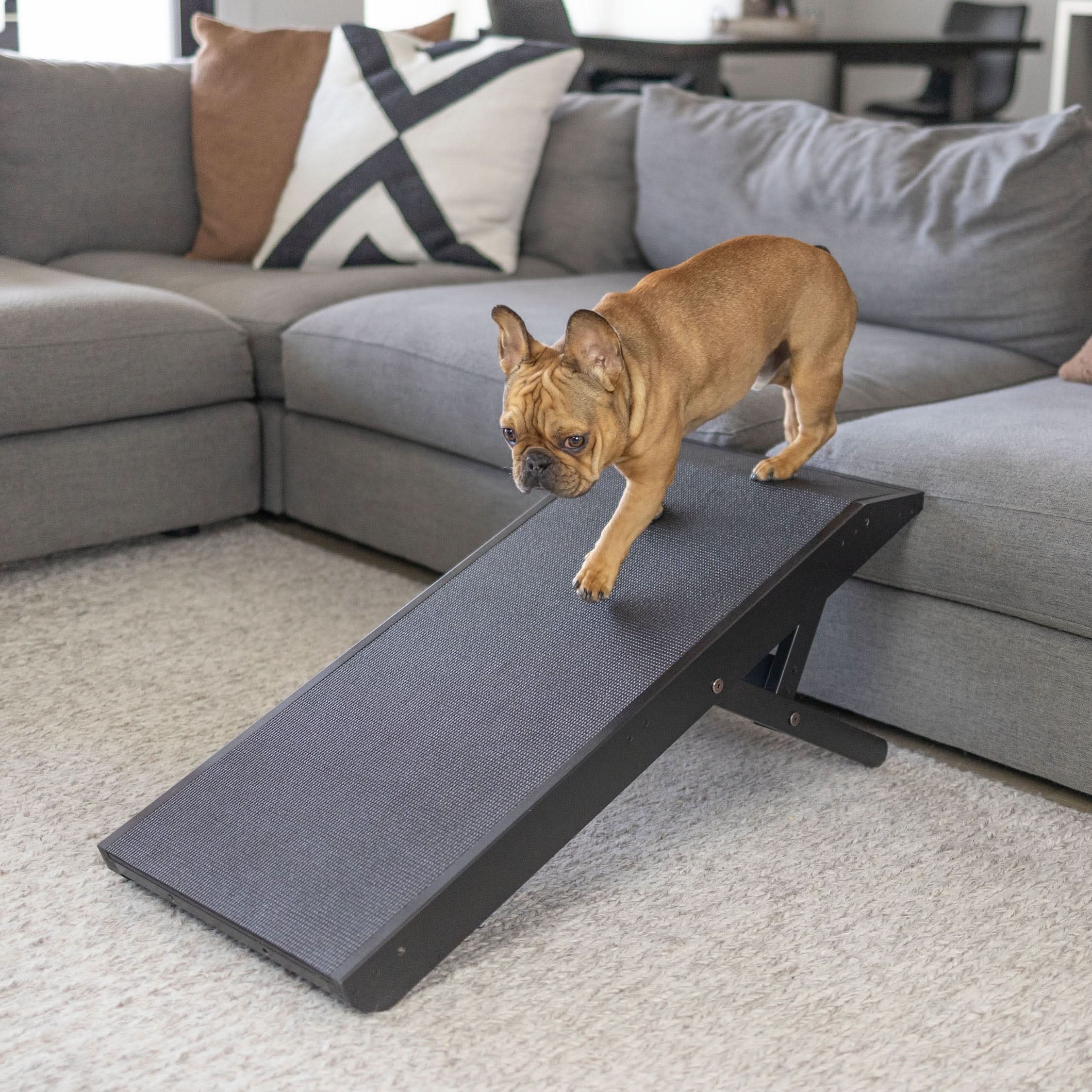 Foldable Non Slip Dog Ramp for Couch product image 12