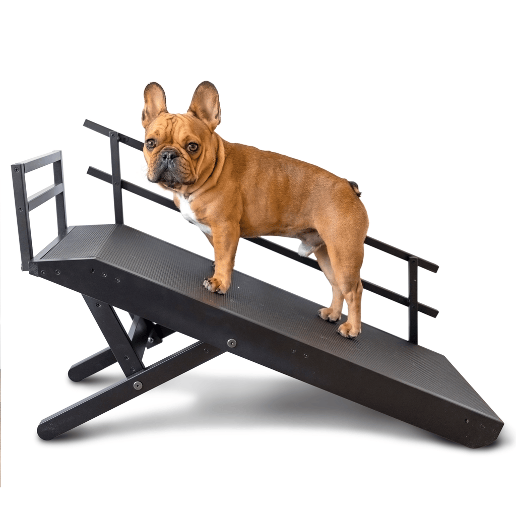 Foldable Non Slip Dog Ramp for Couch product image 13