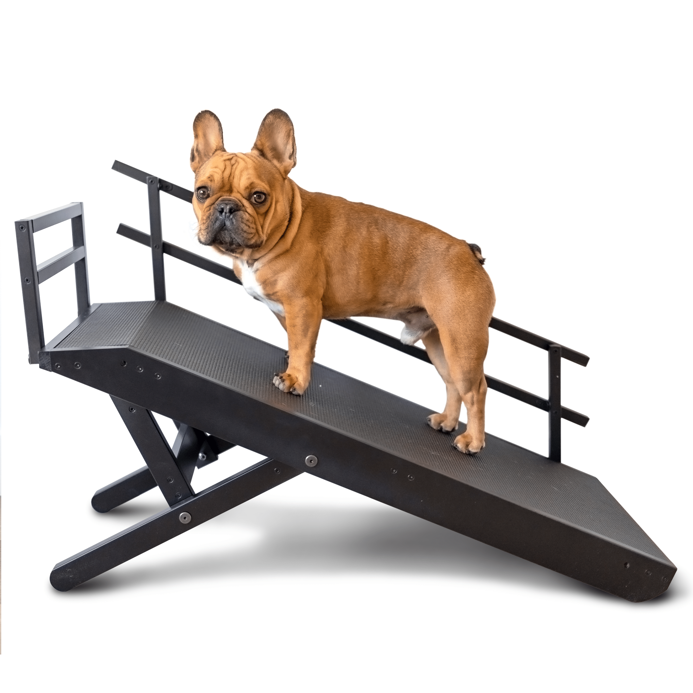 Foldable Non Slip Dog Ramp for Couch product image 13