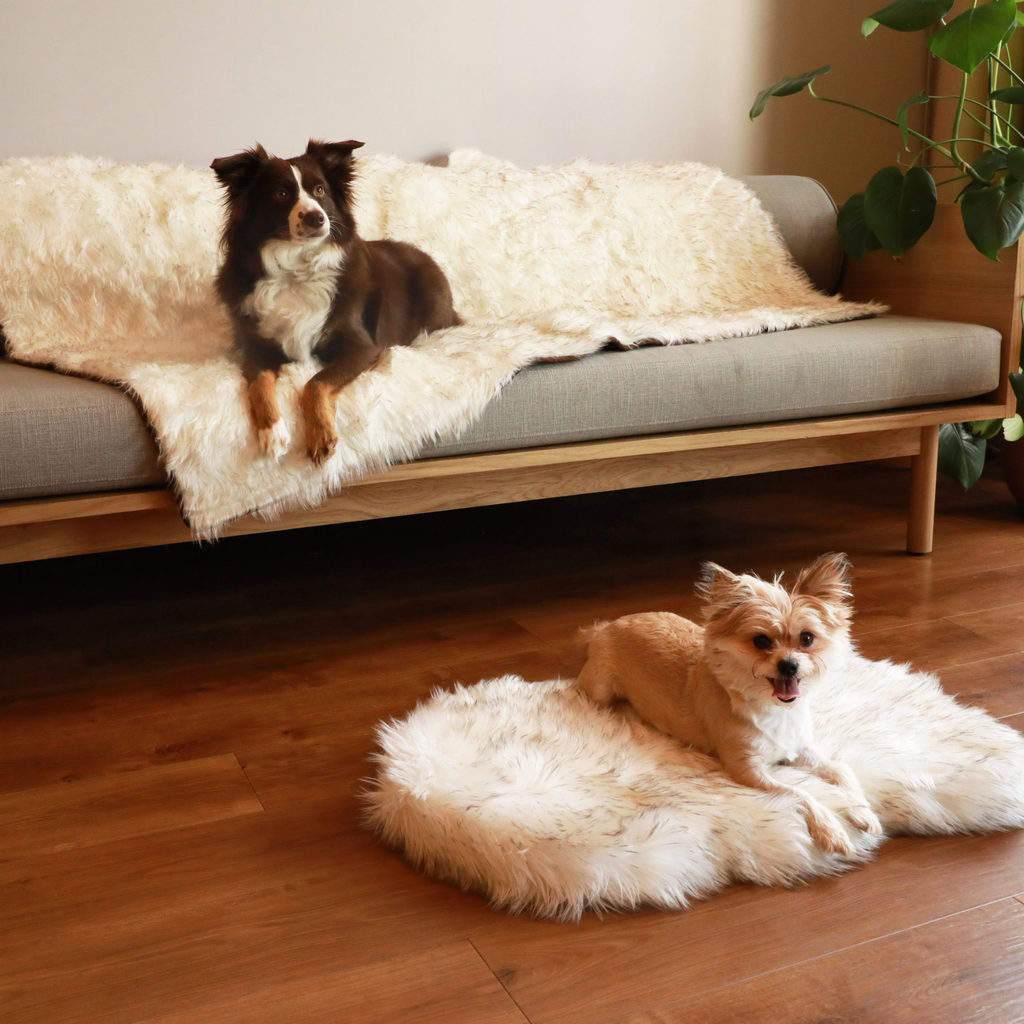 Orthopedic Dog Bed and Waterproof Blanket Bundle product image 2