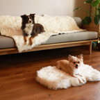 Orthopedic Dog Bed and Waterproof Blanket Bundle product image 2