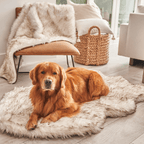 Orthopedic Dog Bed and Waterproof Blanket Bundle product image 5