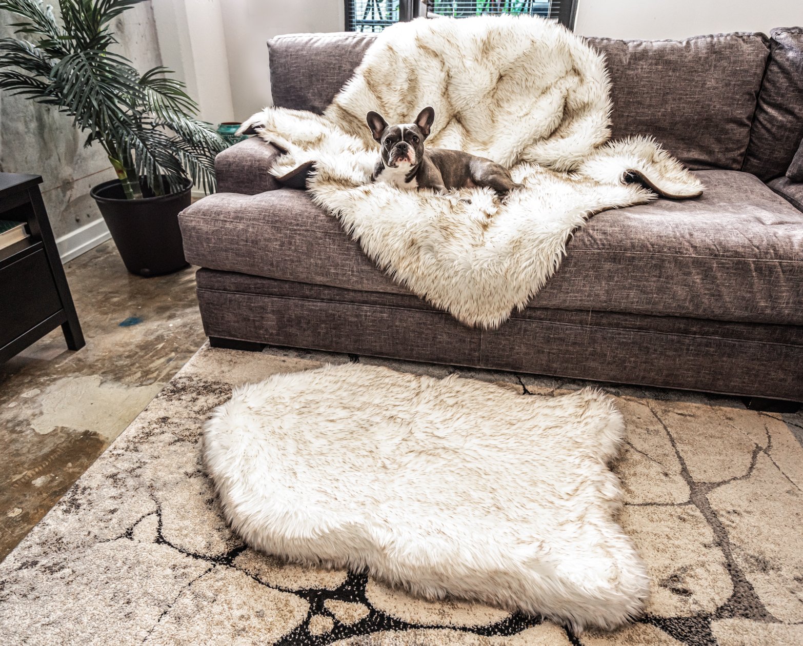 Orthopedic Dog Bed and Waterproof Blanket Bundle product image 6