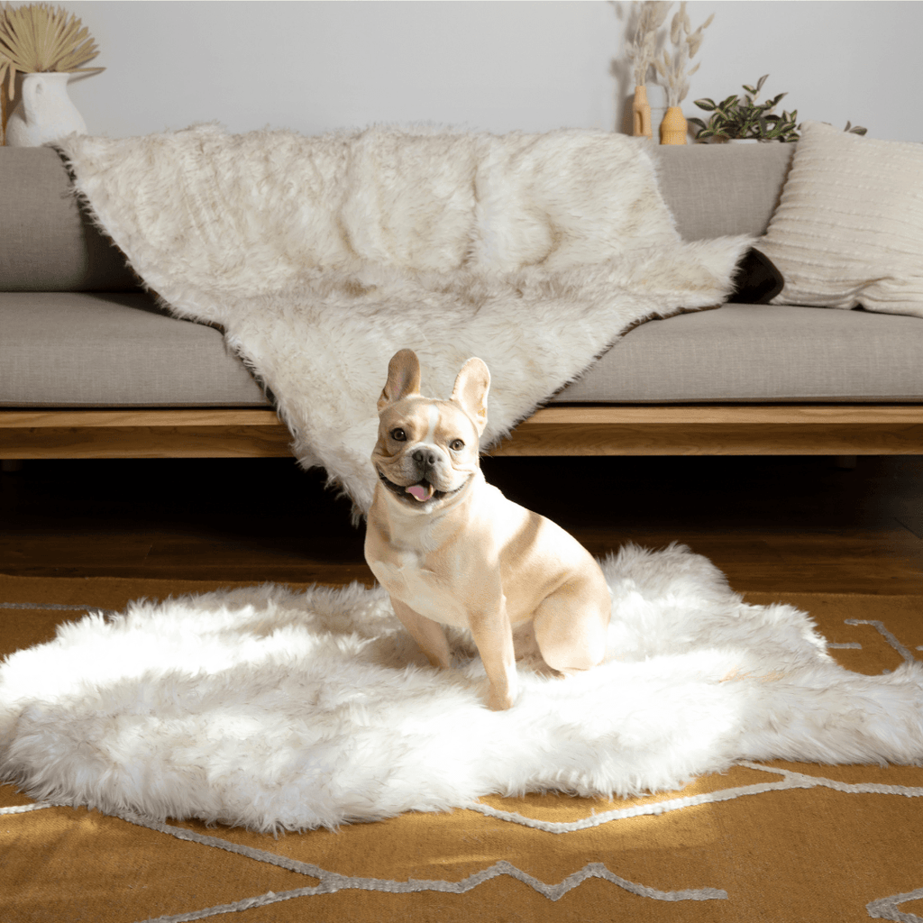 Orthopedic Dog Bed and Waterproof Blanket Bundle product image 7