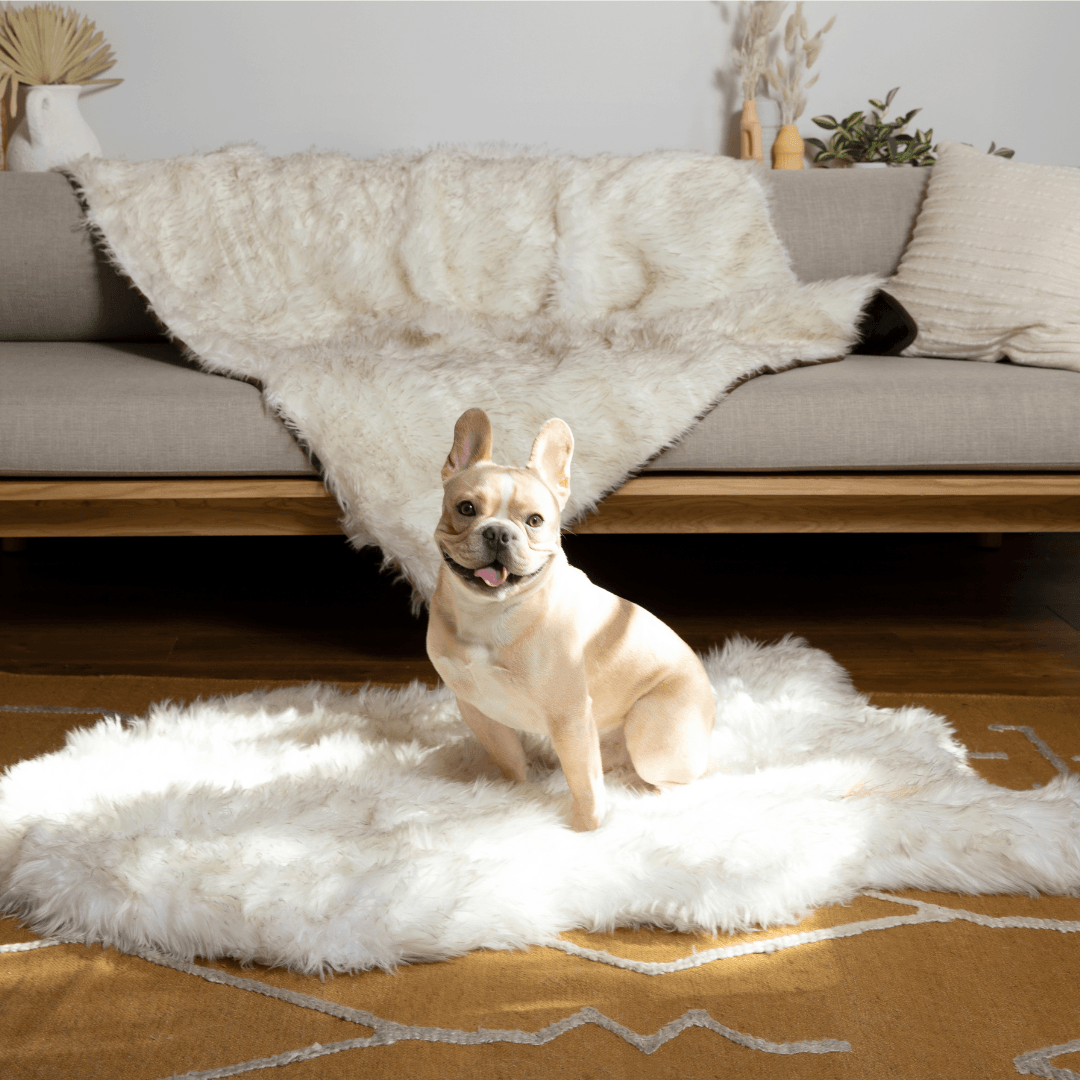Orthopedic Dog Bed and Waterproof Blanket Bundle product image 7