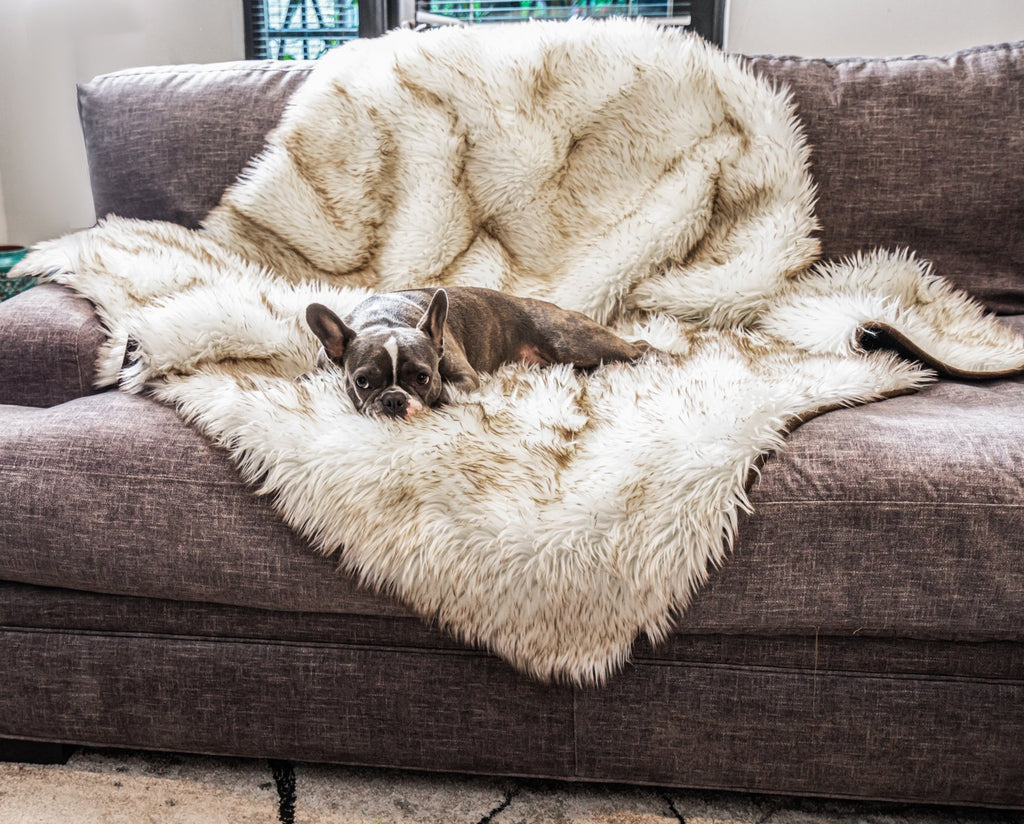 Orthopedic Dog Bed and Waterproof Blanket Bundle product image 8