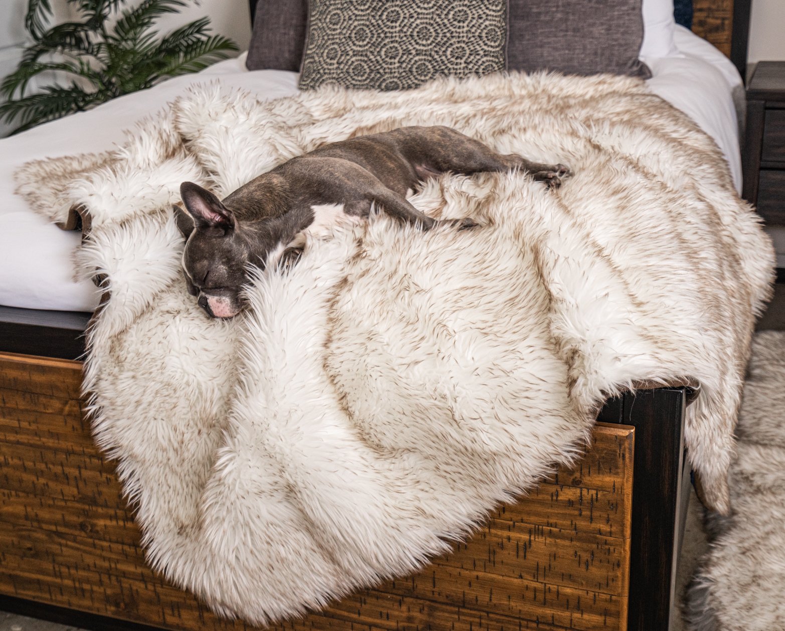 Orthopedic Dog Bed and Waterproof Blanket Bundle product image 10