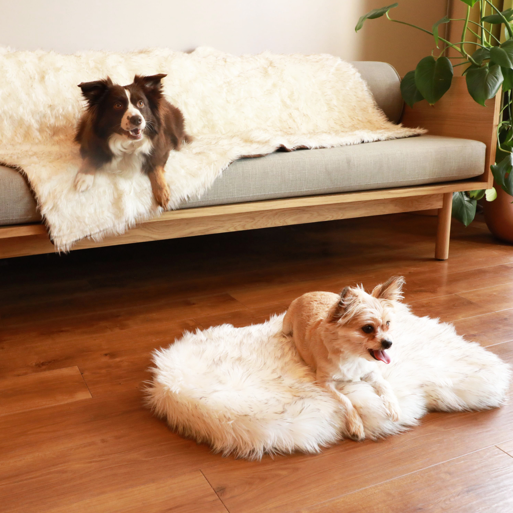 Orthopedic Dog Bed and Waterproof Blanket Bundle product image 11