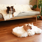 Orthopedic Dog Bed and Waterproof Blanket Bundle product image 11