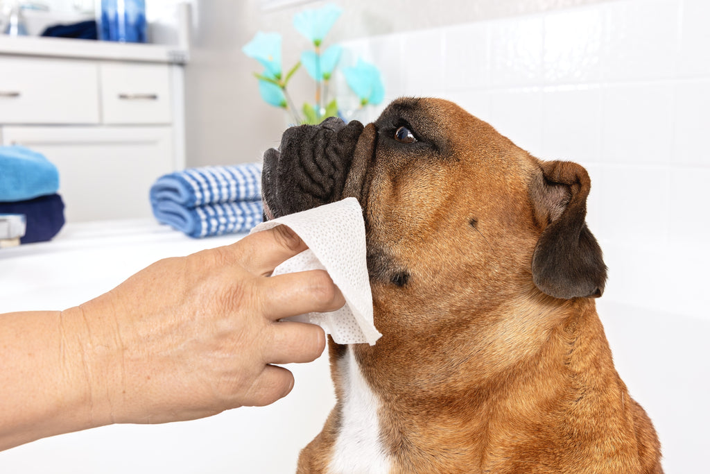 Dog Wrinkle Wipes product image 2