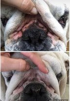 Dog Wrinkle Wipes product image 8