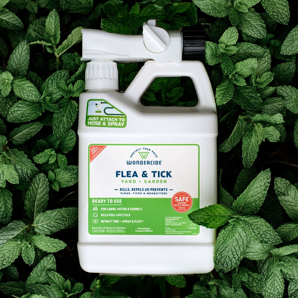 A white bottle of Wondercide Ready-to-Use Flea & Tick Spray for Yard + Garden sits on green mint leaves, featuring a hose attachment and green label that highlights its pet- and family-safe formula for flea and tick protection.