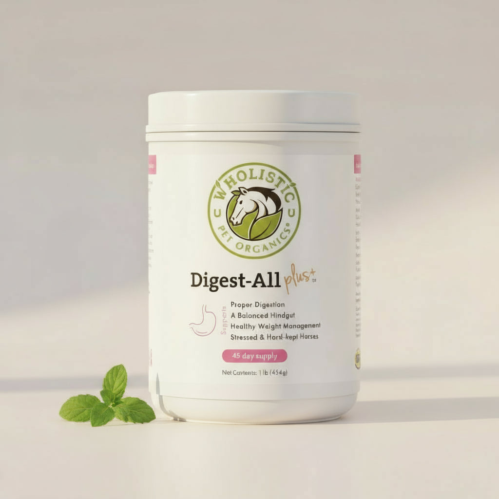 Horse Digestive Supplement product image 1