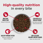 Dry Dog Food product image 4