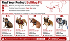 Black BullHug Dog Harness – Non-Choking, Adjustable