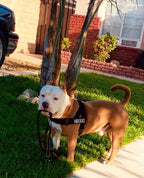 BLACK ADJUSTABLE BULLHUG HARNESS - thebullhug.com