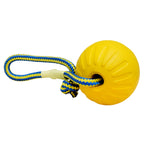 Dog Fetch Ball product image 1