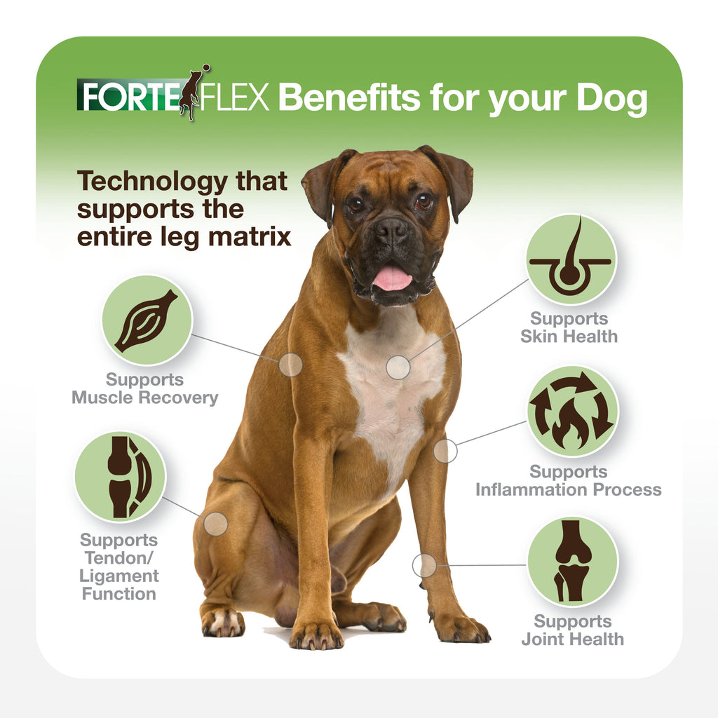 Dog Joint Supplement product image 7