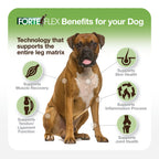 Dog Joint Supplement product image 7