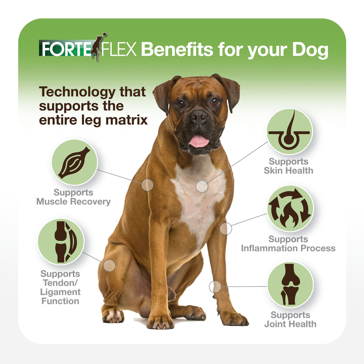 Dog Joint Supplement product image 7
