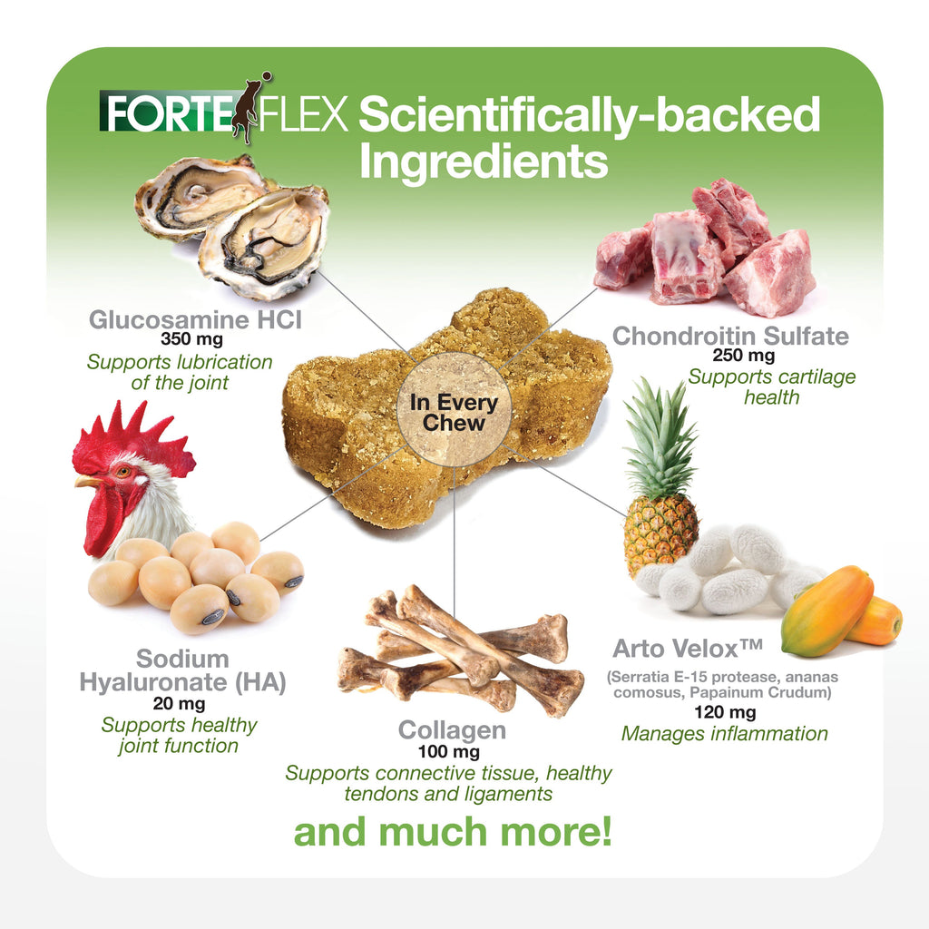 Dog Joint Supplement product image 8